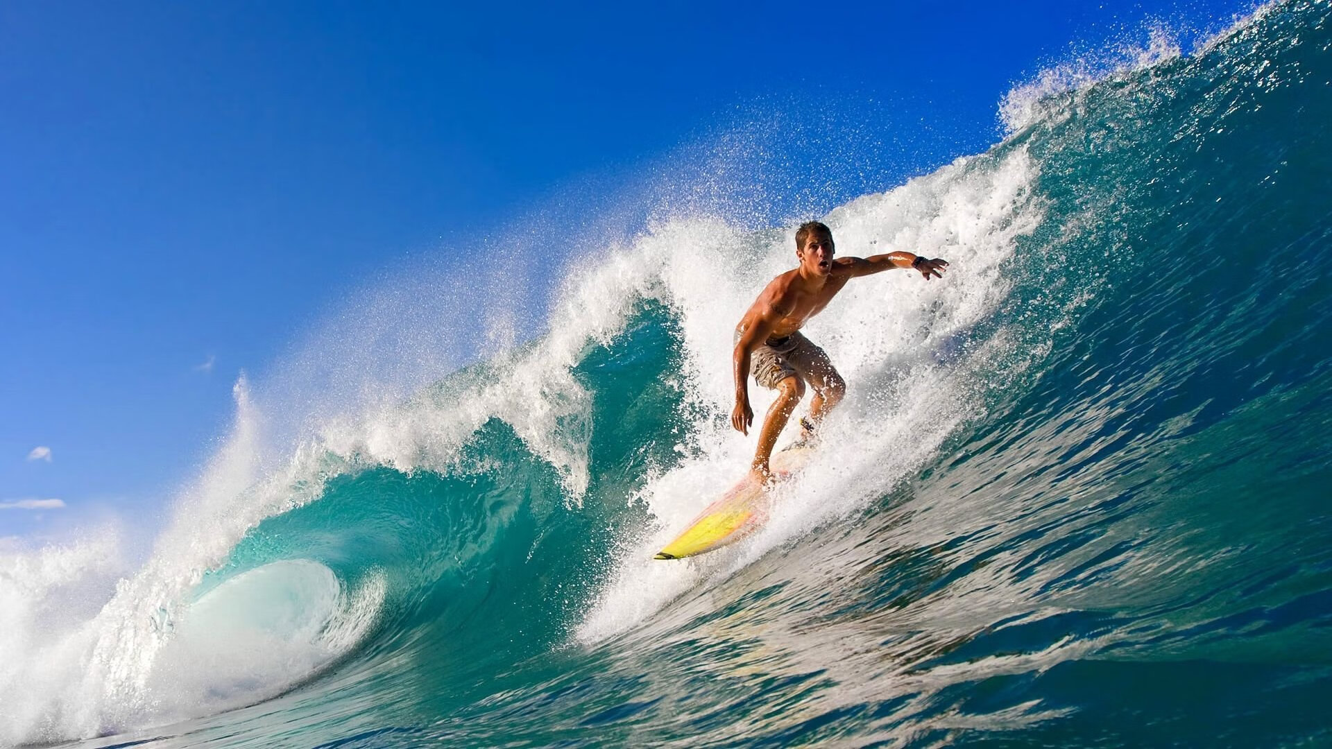 赛季总结：球队表现最佳和最差的对比，球队实力分析